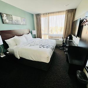 Double Room Disability Access or Non Smoking